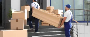 Pickup Services in Wadi Al Safa 6 Dubai