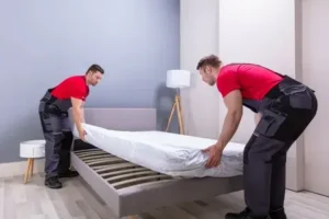Bed/mattress moving in Motor City