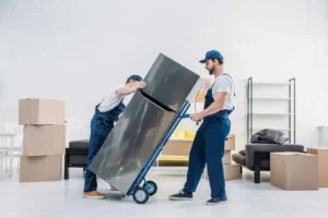 Large Appliance Moving Service in Mudon